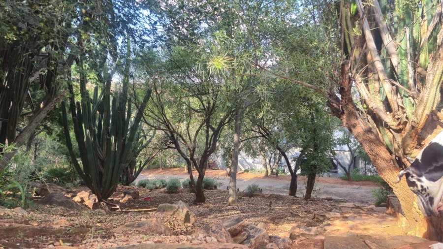 13 Bedroom Property for Sale in Wilkoppies North West